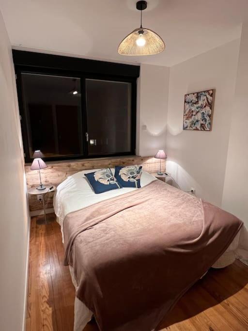 Villa du parc au cœur de Malo - Maison 3 Chambres - 1