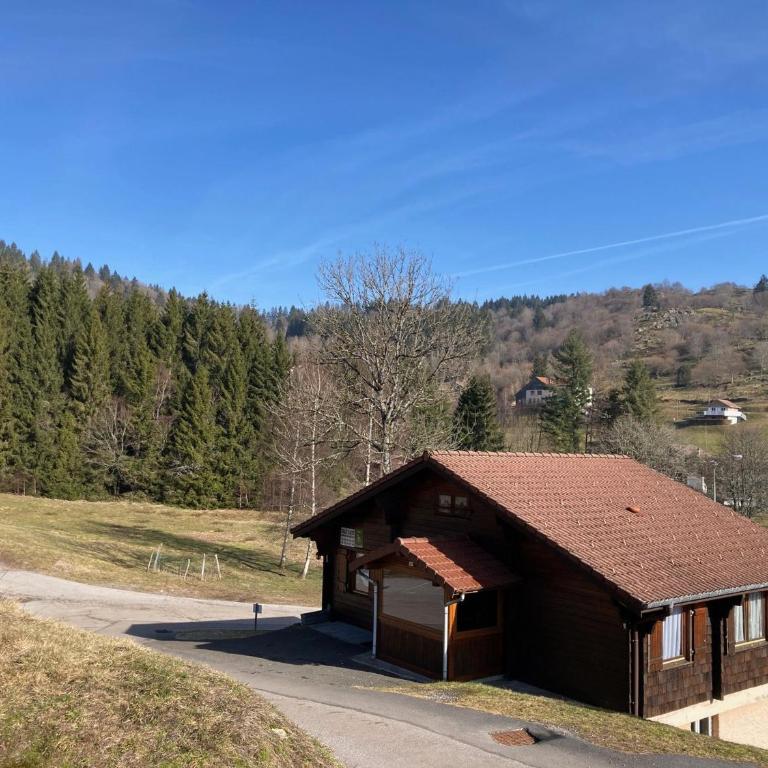 Chalet familial à La Bresse, proche randonnées, WIFI, animaux admis - FR-1-589-425 - Ferienhaus - 6
