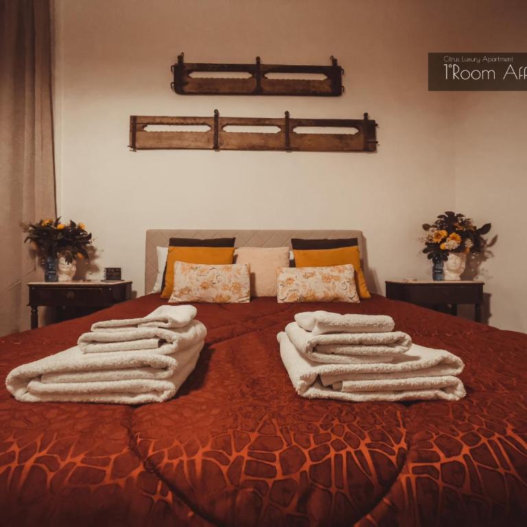 CITRUS LUXURY APARTMENT - holiday apartment with up to 3 bedrooms in palermo center - Vacation Home - 24