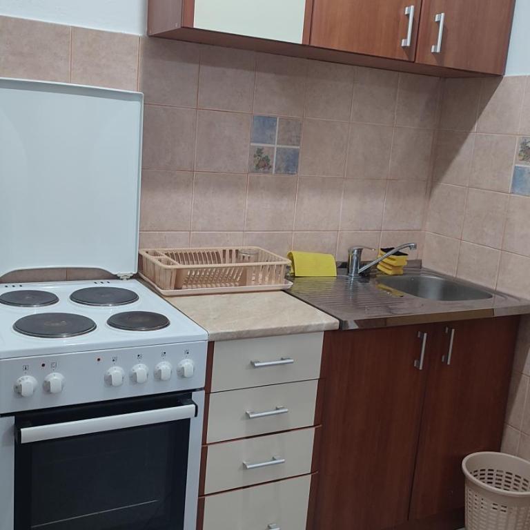 Pejovic Guest House - Apartman sa 2 Spavaće Sobe - 10
