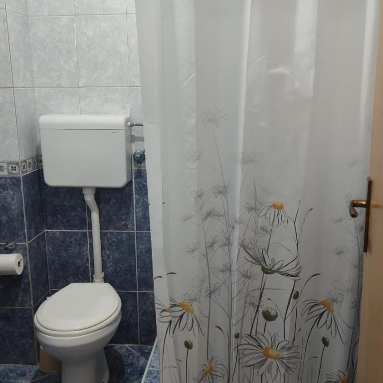 Pejovic Guest House - Apartman sa 2 Spavaće Sobe - 9