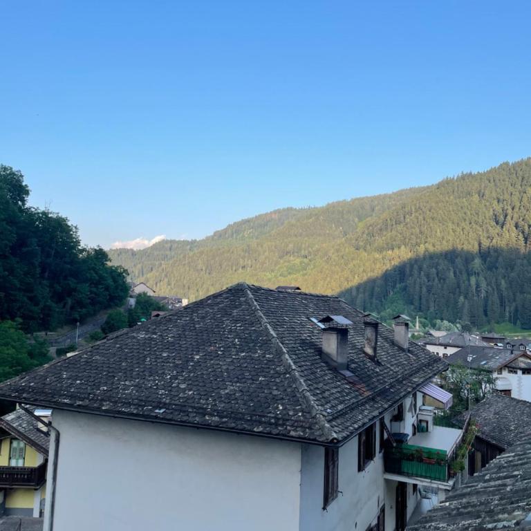 Apart Dolomites - Appartamento con 1 Camera da Letto - 16