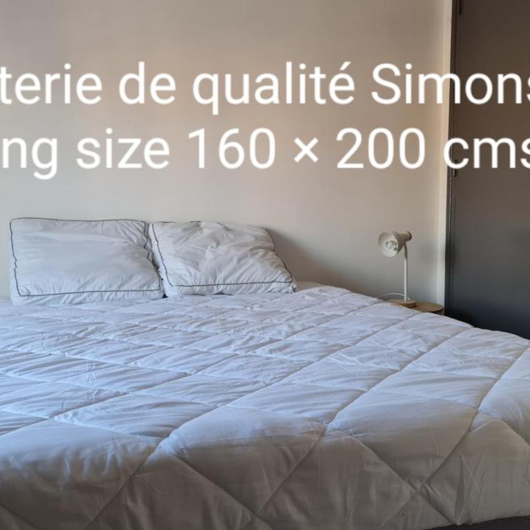 Le Studio de la République - Appartement 1 Chambre - 5