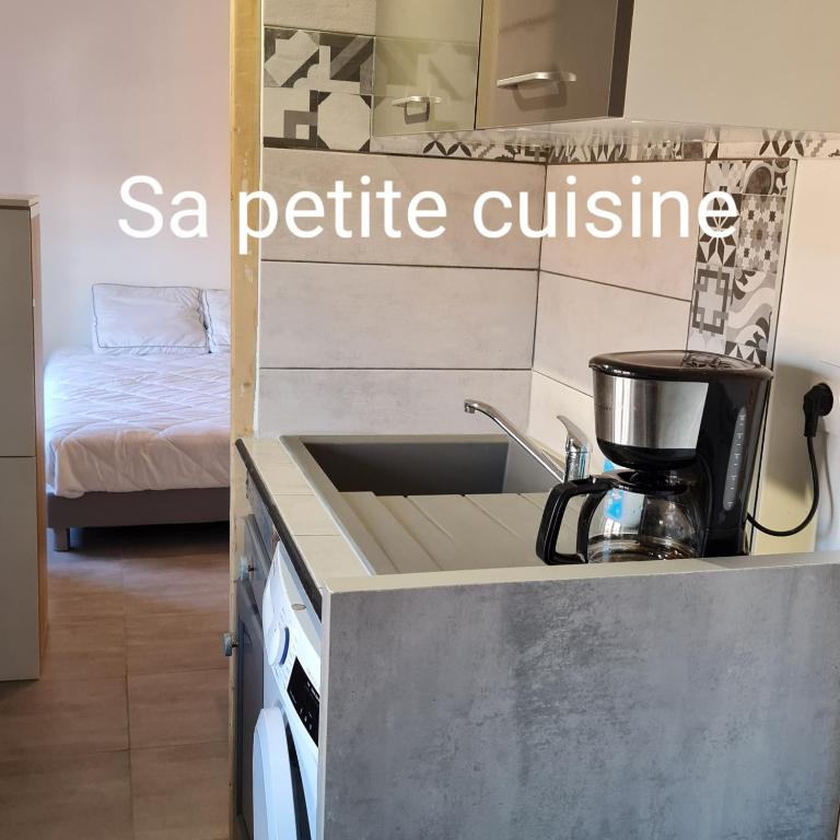 Le Studio de la République - Appartement 1 Chambre - 4