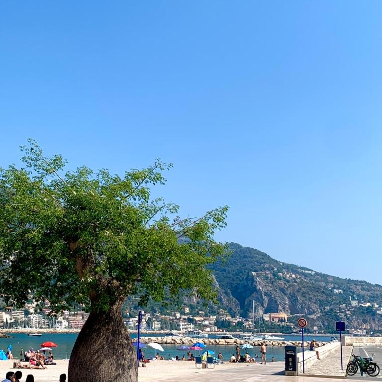 Lovely studio - heart of Menton, near the beach. - Appartamento Monolocale - 22