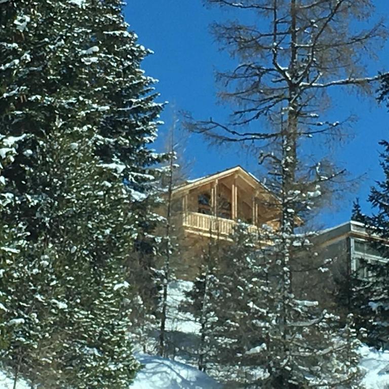 Jagdhütte - Superior Chalet - 72