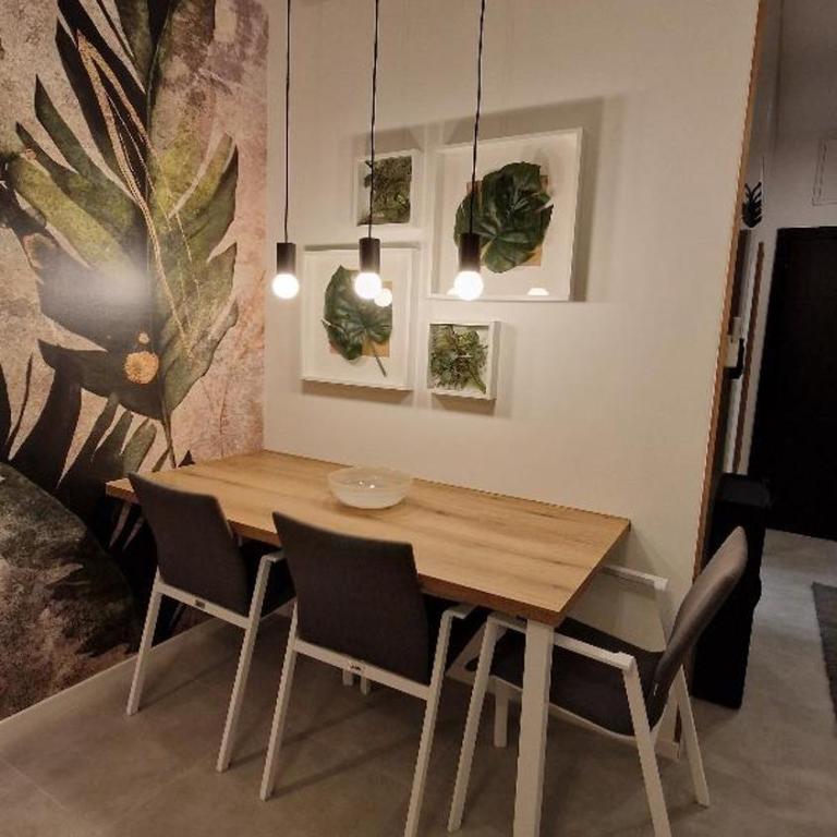 FAMILY RESORT SUBOTICA Apartments - Deluxe Studio - 12