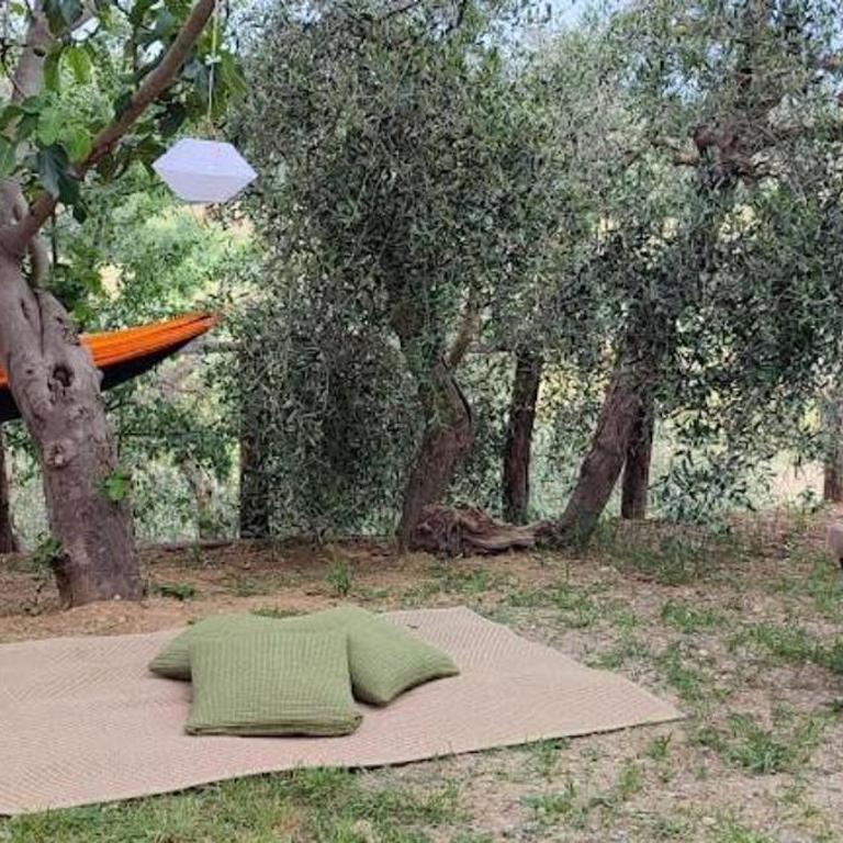 Agriturismo Biofattoria l'Upupa - Doppelzimmer mit eigenem Bad - 19