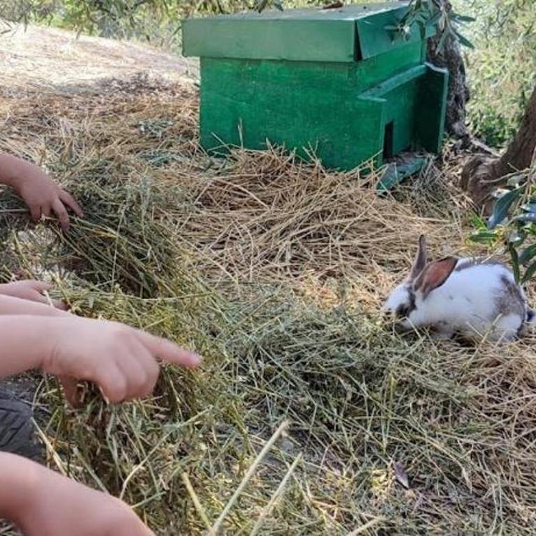 Agriturismo Biofattoria l'Upupa - Doppelzimmer mit eigenem Bad - 20