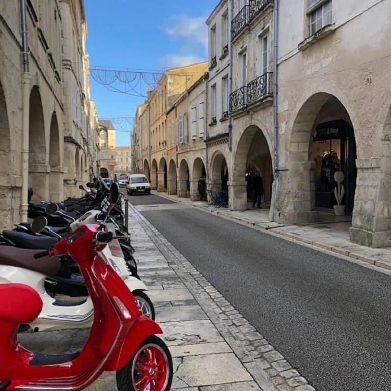 Havre de paix lumineux et cosy au calme proche du centre avec TV et Wifi - Appartement 1 Chambre - 15