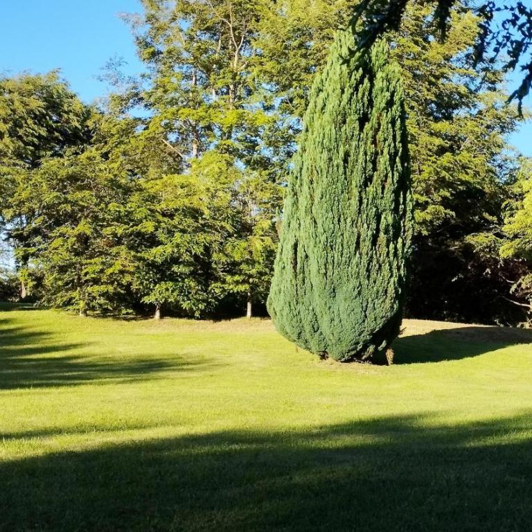 Monoambiente Panguipulli - Apartamento de 1 dormitorio - 26