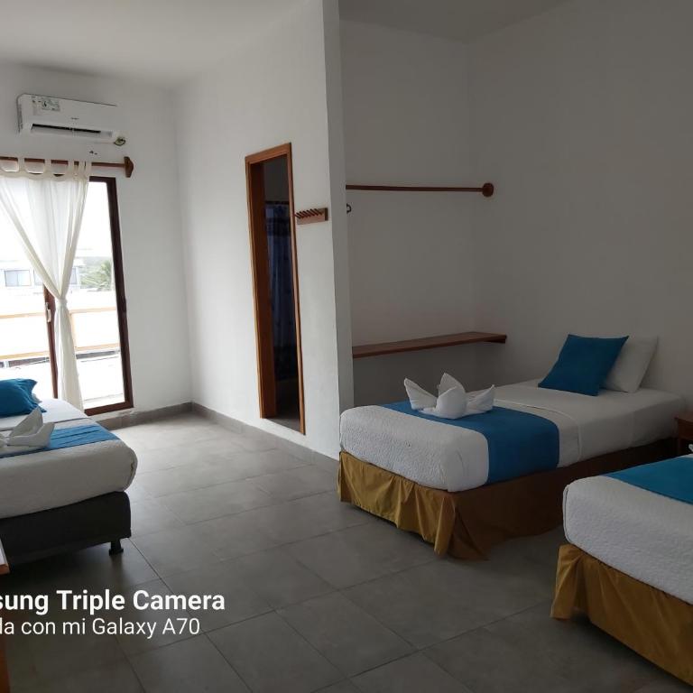 Galapagos Native - Family Room - 14