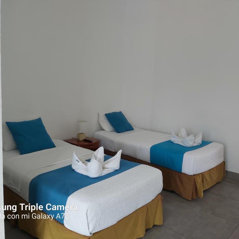 Galapagos Native - Twin Room with Balcony - 13