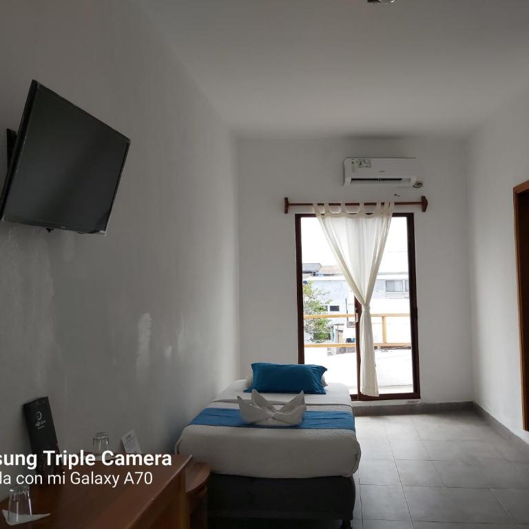 Galapagos Native - Single Room - 19