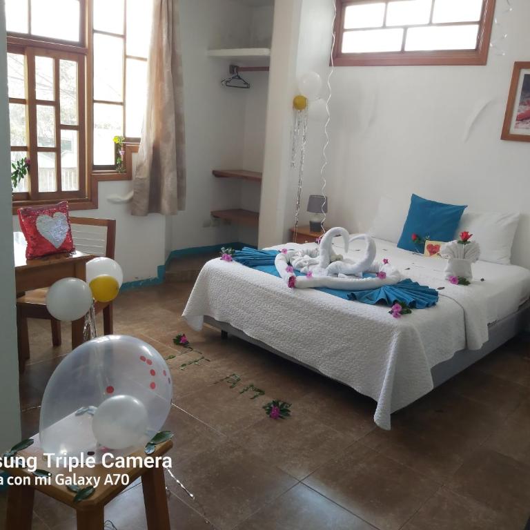 Galapagos Native - Standard Double Room - 15