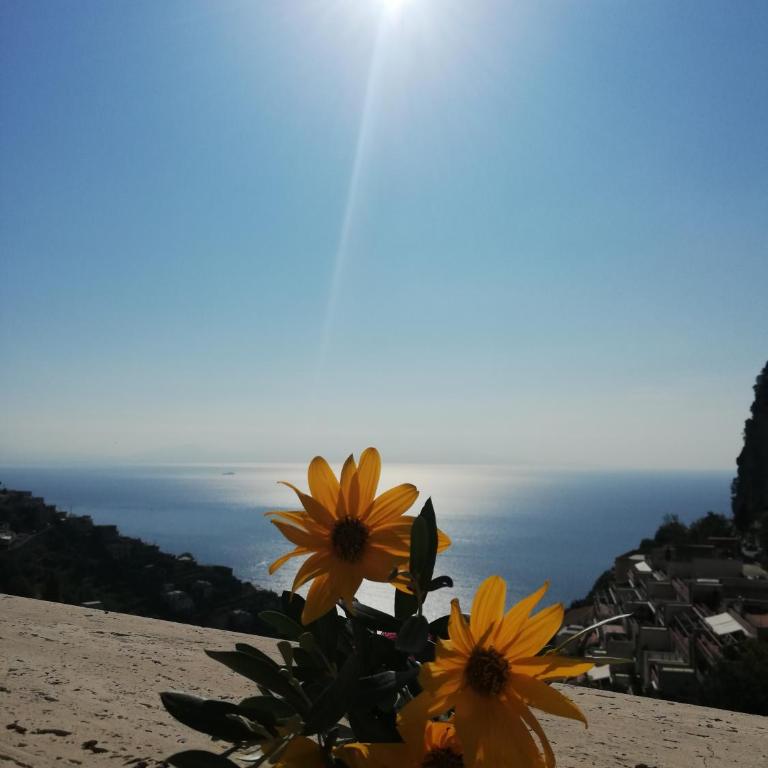 LA VILLA DI ENZO Casa Vacanze con vista mare - Appartamento con 1 Camera da Letto - 73