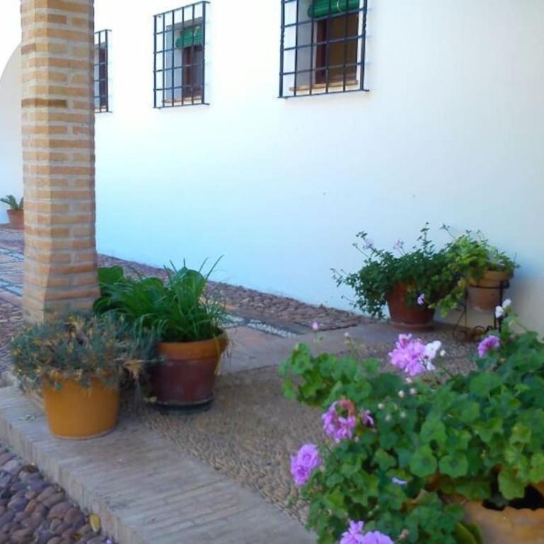 Villa Carmen Magnificent Country House in Serranía - Villa de 3 dormitorios - 12