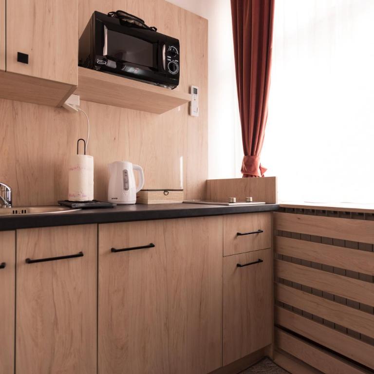 Apartments Artee Free Garage Parking - Deluxe Studio - 33