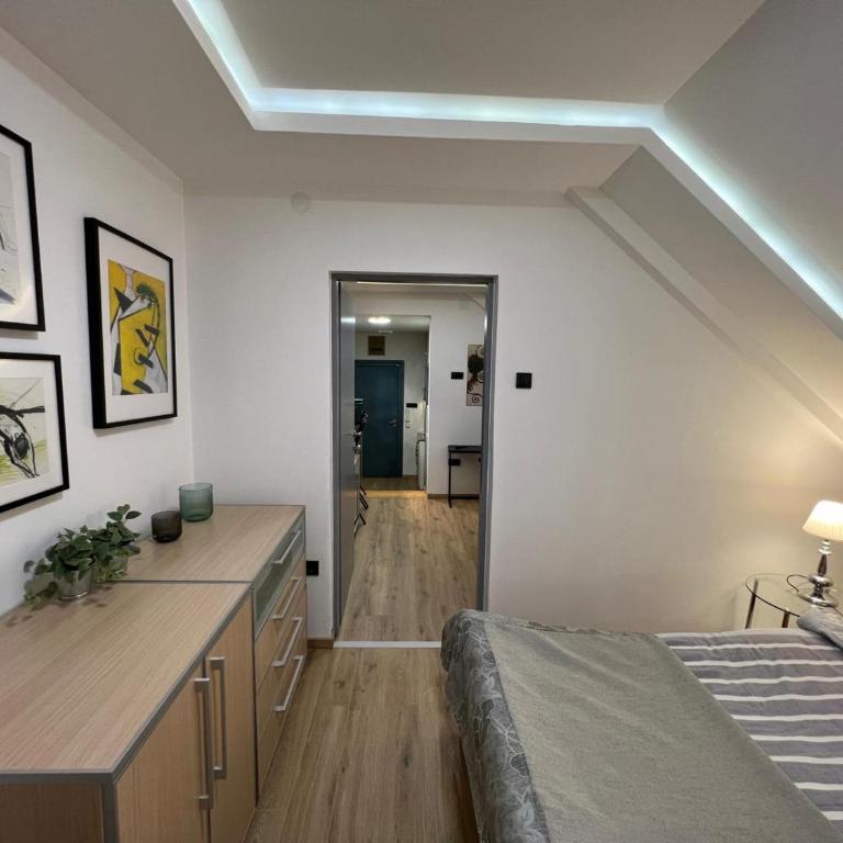 CITY CENTER Apartment - Apartman sa 1 Spavaćom Sobom - 16