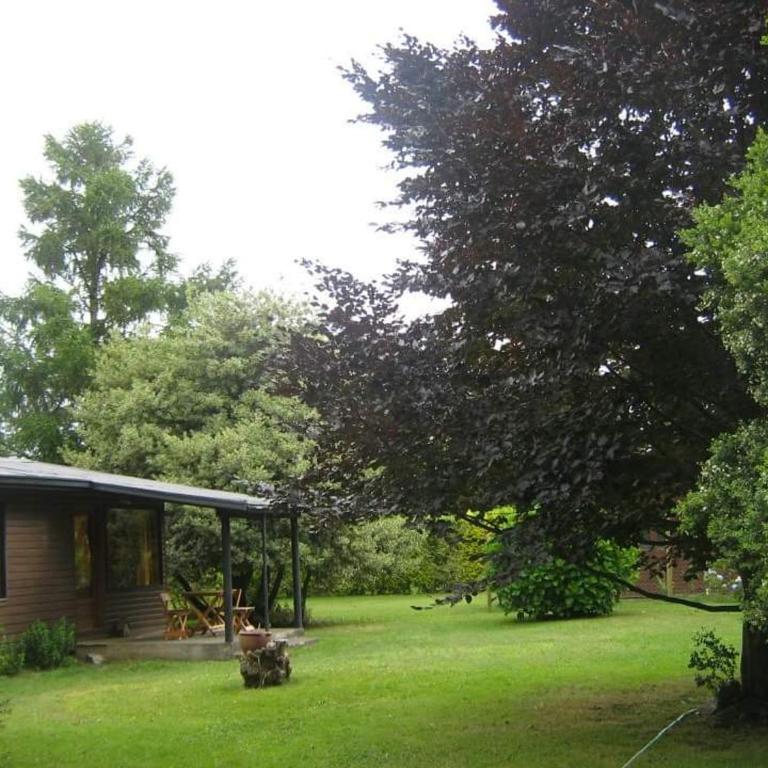 Cabaña Pucón - Three-Bedroom House - 1