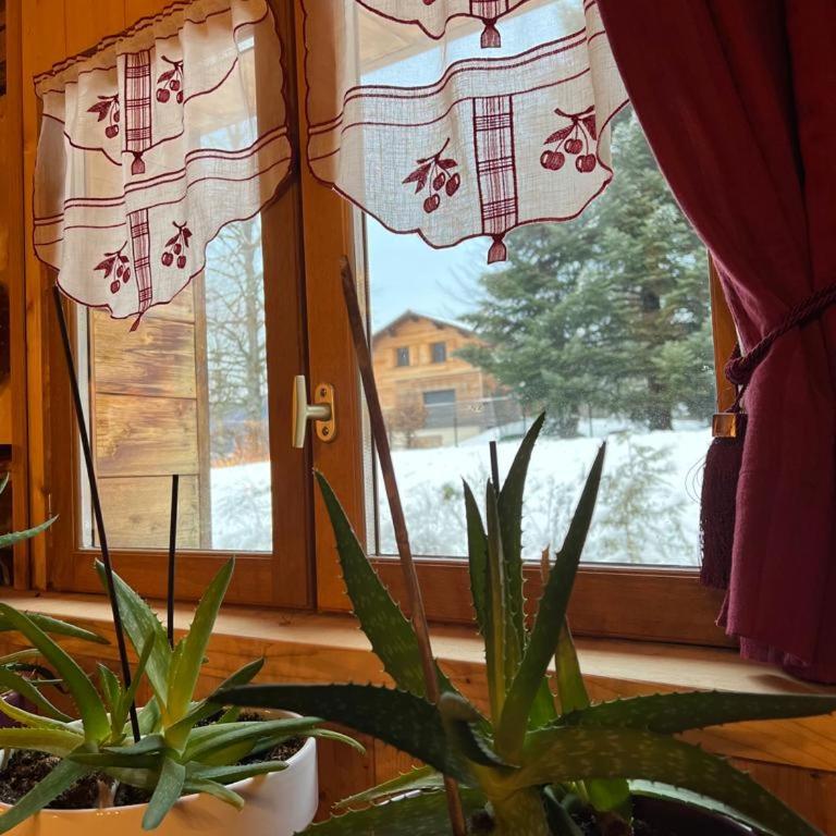 Ferme savoyarde rénovée 2 chambres - One-Bedroom Chalet - 2