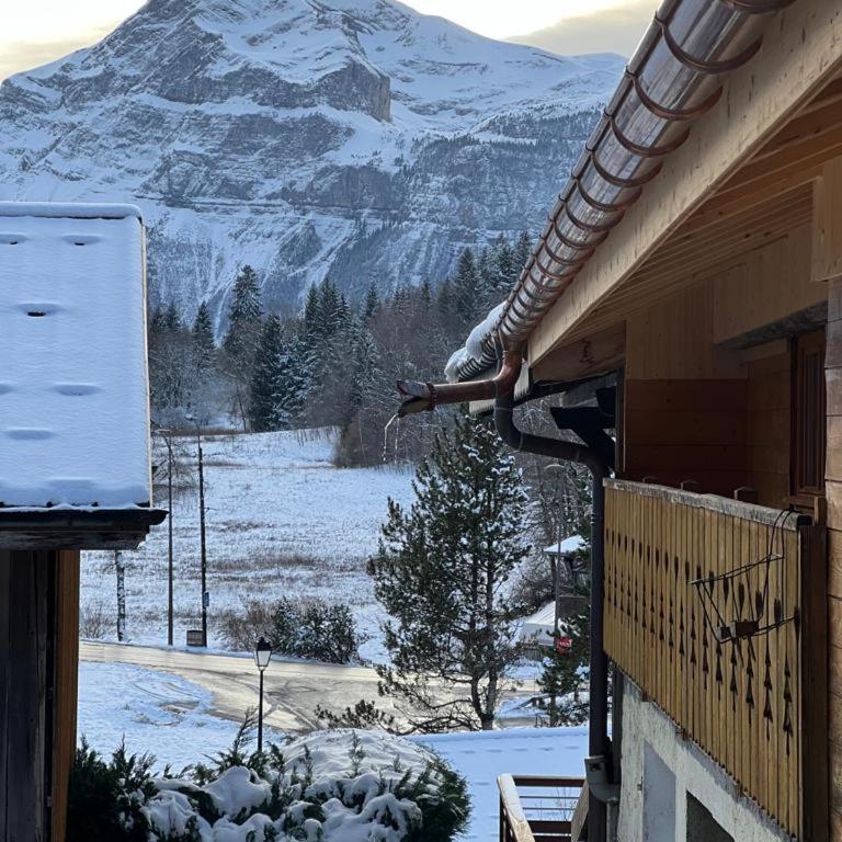 Ferme savoyarde rénovée 2 chambres - One-Bedroom Chalet - 40