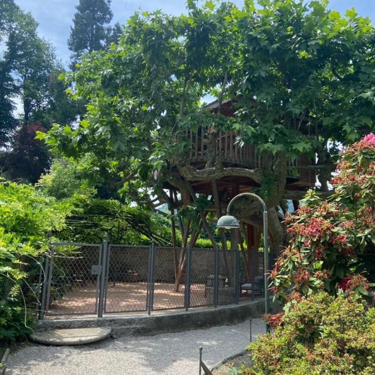 Lake Como Dream Tree House - Tenda - 1
