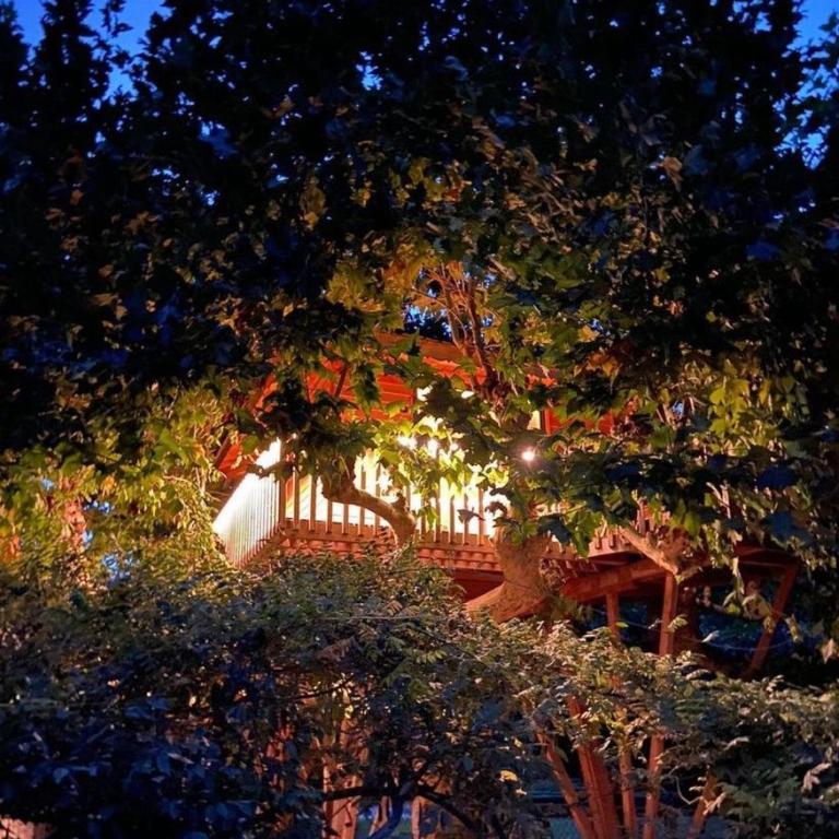 Lake Como Dream Tree House - Tenda - 7