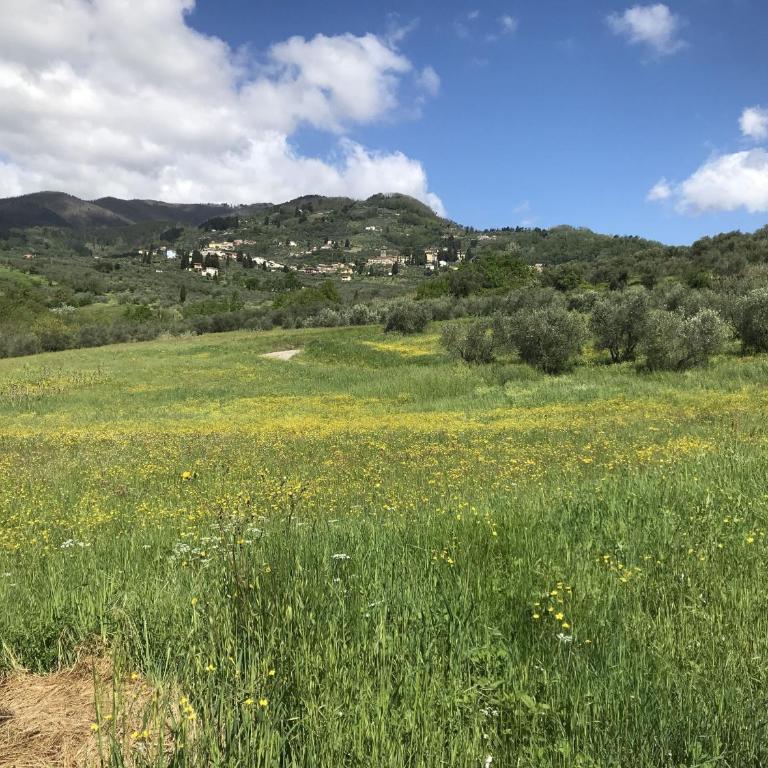 Casa Santo al Borghetto - Appartamento con 2 Camere da Letto - 51