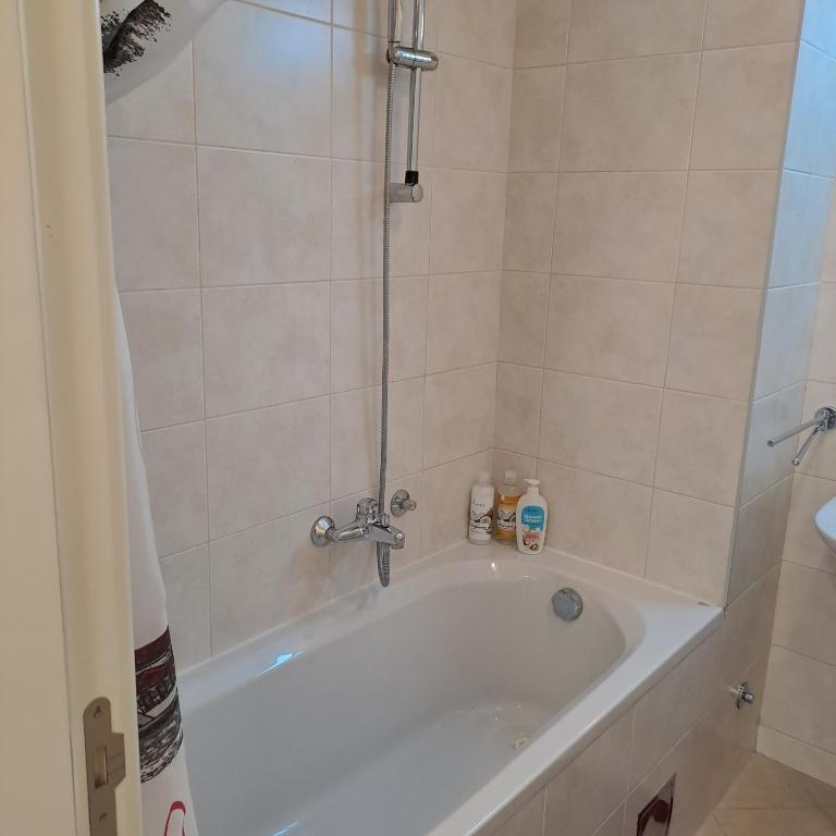 Manhattan apartman Zumbul Belvil - Apartman sa 1 Spavaćom Sobom - 22