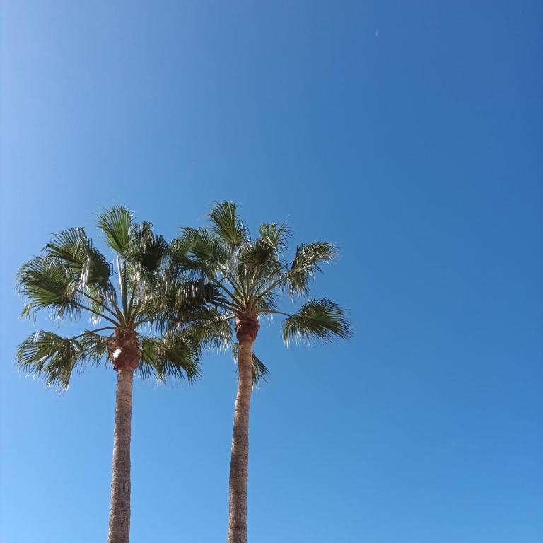 Great oportunity Costa Adeje Holiday apartment first sea line Free Wifi - Apartamento de 1 dormitorio - 49