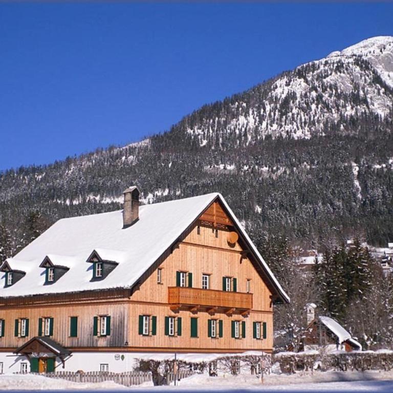 Die Traunmühle - Apartment mit schöner Aussicht - 44