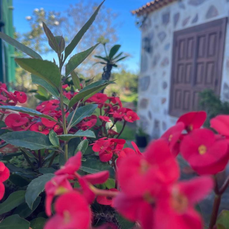 La Era de la Florida - Casa de 2 dormitorios - 3
