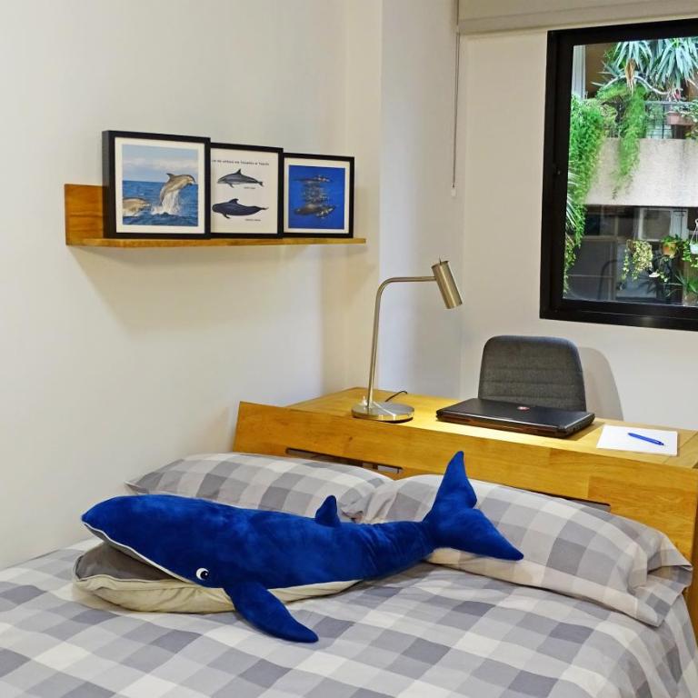 Santa Cruz de Tenerife, piso céntrico, amplio y con garaje - Apartamento con balcón - 16