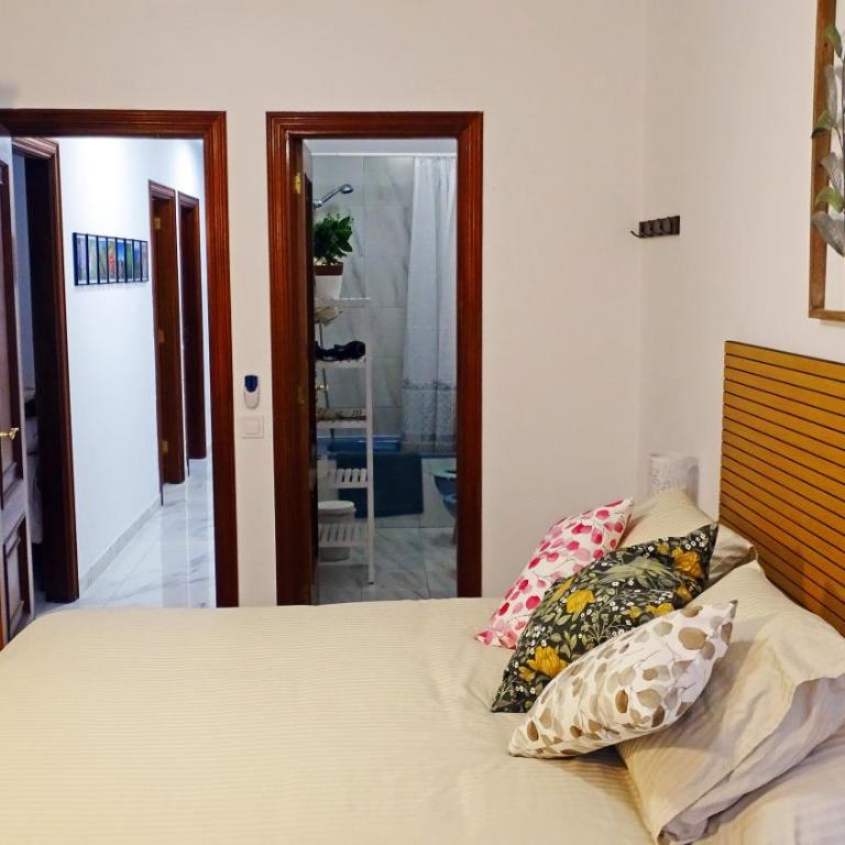 Santa Cruz de Tenerife, piso céntrico, amplio y con garaje - Apartamento con balcón - 13