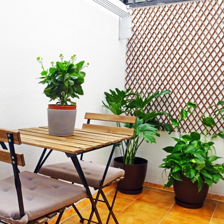 Santa Cruz de Tenerife, piso céntrico, amplio y con garaje - Apartamento con balcón - 23