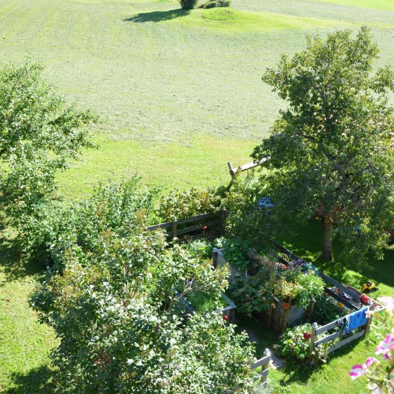 Pension Wötzinghof - Doppelzimmer mit Dusche - 21
