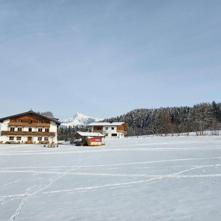 Pension Wötzinghof - Doppelzimmer mit Dusche - 44