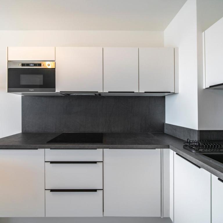 Terrasse Vue Mer, 5mn Monaco, Parking - AN - Appartement 1 Chambre - 22