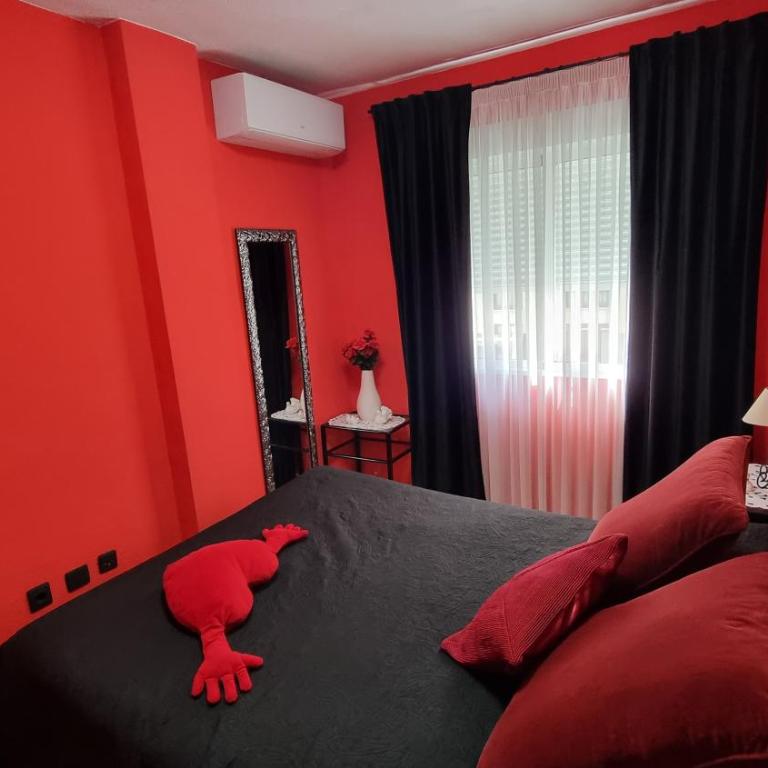 Torreviejagases - Apartamento - 11