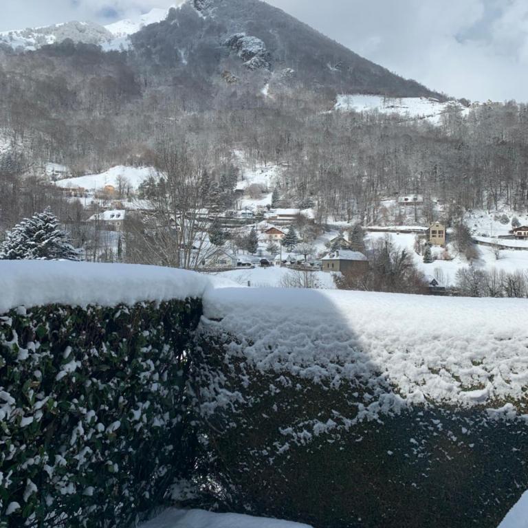 Chalet tout confort 3 chambres - Appartement - 29
