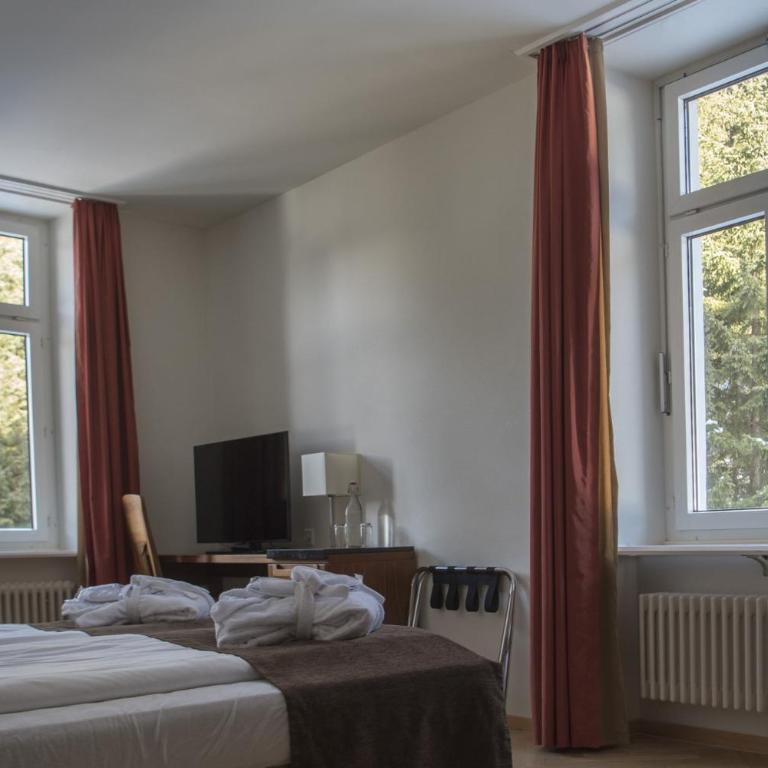 Waldhotel & SPA Davos - for body & soul - Standard Doppelzimmer mit Waldblick - 8