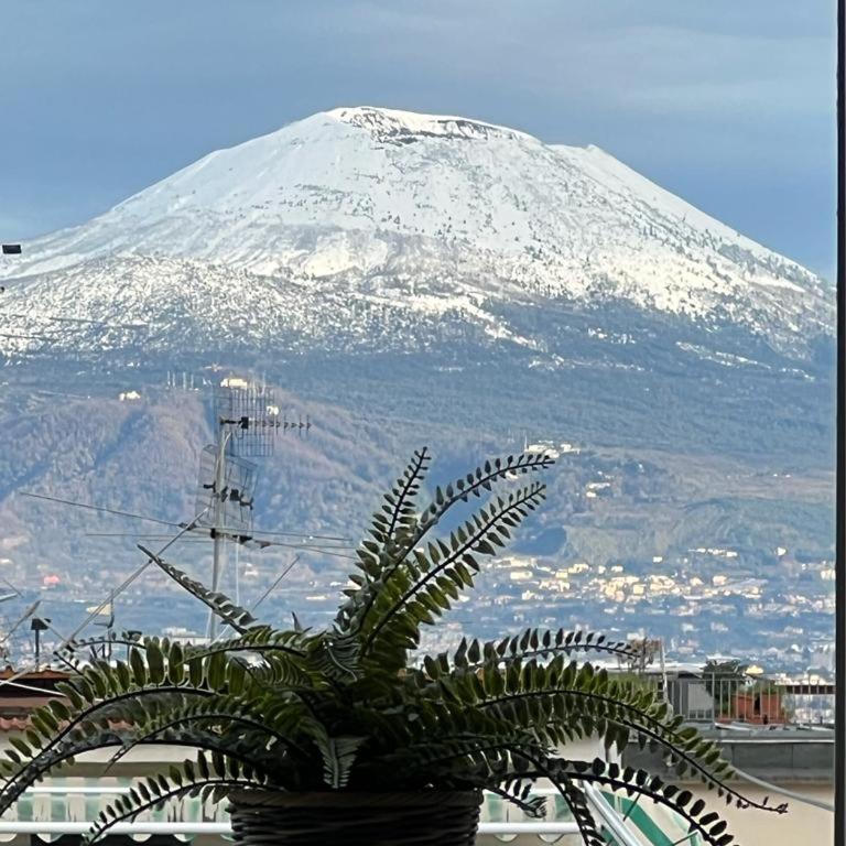 Vesuvio Apartment - Appartamento - 2