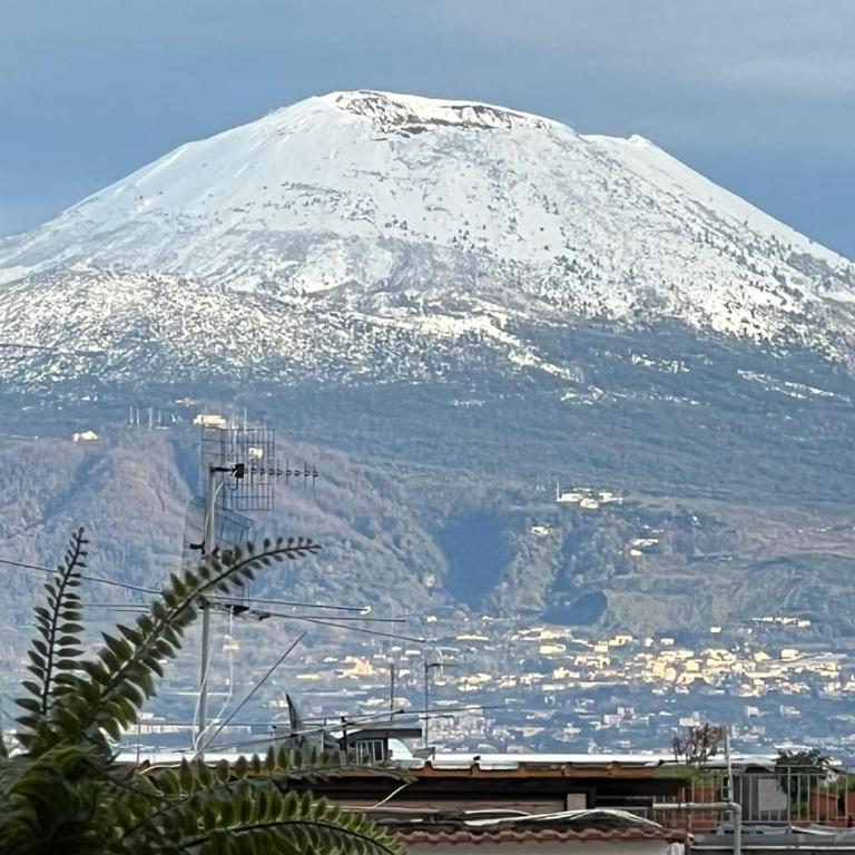 Vesuvio Apartment - Appartamento - 48