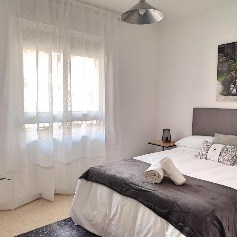 Céntrico Apartamento Jardines de Vallellano - Apartamento - 43