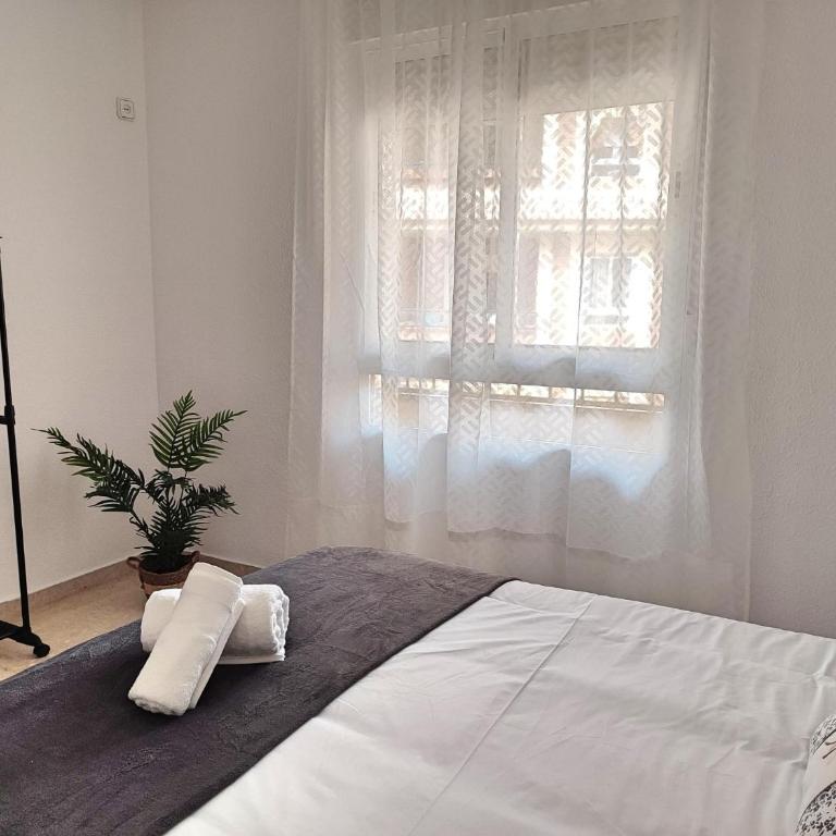 Céntrico Apartamento Jardines de Vallellano - Apartamento - 10