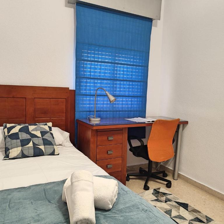 Céntrico Apartamento Jardines de Vallellano - Apartamento - 18