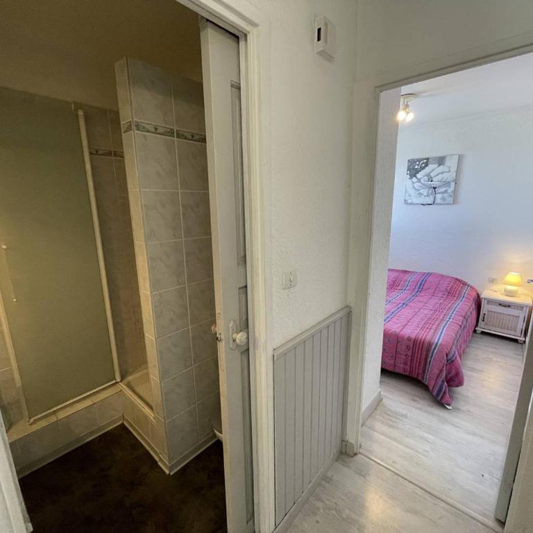 T2 lumineux 4 pers, parking sécurisé, proche port et plage - St-Cyprien - FR-1-106-30 - Apartment - 8