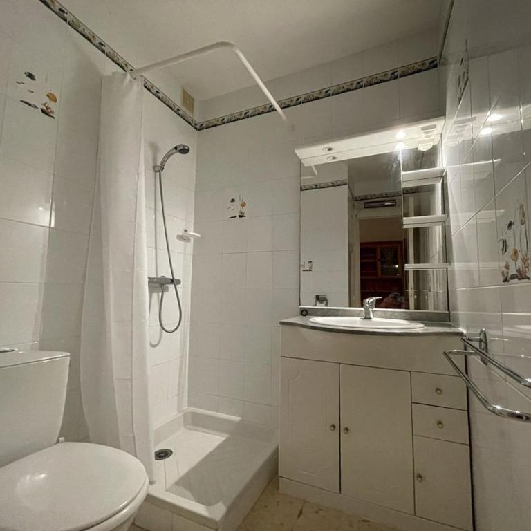 Charmant studio climatisé avec wifi et parking à 100m de la plage - FR-1-106-51 - Apartment - 5