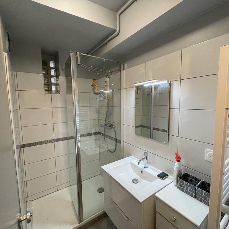 T2 cabine rénové, animaux admis, parking sécurisé, proche plage et port - Saint-Cyprien - FR-1-106-69 - Apartment - 6